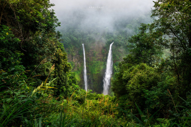 Обои картинки фото природа, водопады, лес, река, водопад