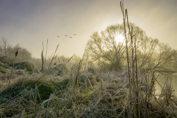 Картинка природа реки озера простор