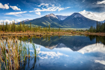 Картинка природа реки озера простор