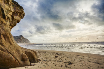 Картинка природа побережье простор