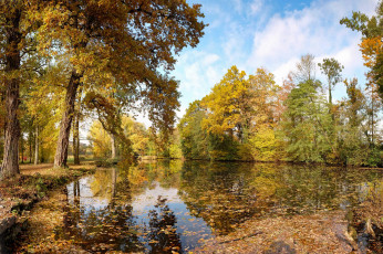 Картинка природа реки озера простор