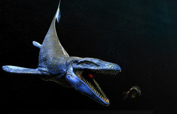 Картинка 3д+графика животные+ animals акула