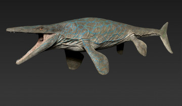 Картинка 3д+графика животные+ animals акула