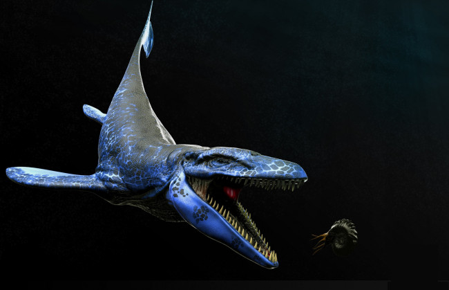 Обои картинки фото 3д графика, животные , animals, акула
