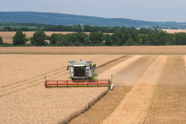 Обои картинки фото техника, комбайны, claas, axion