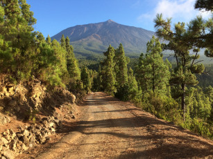 Картинка природа дороги простор