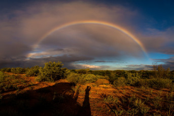 Картинка природа радуга простор