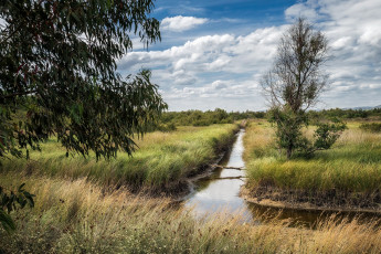 Картинка природа реки озера простор