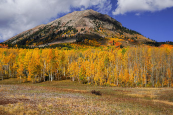 Картинка природа реки озера простор