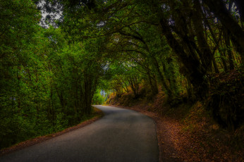 Картинка природа дороги простор