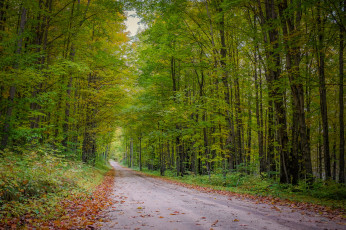 Картинка природа дороги простор