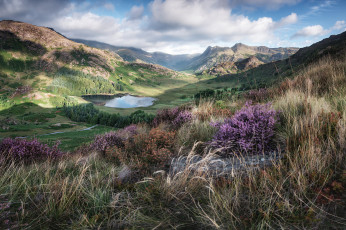 Картинка природа пейзажи простор