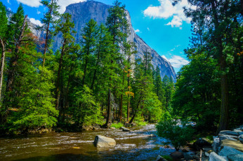 Картинка природа реки озера простор