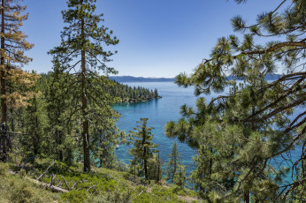 Картинка природа реки озера простор