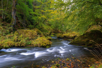 Картинка природа реки озера простор