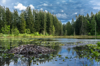 Картинка природа реки озера простор