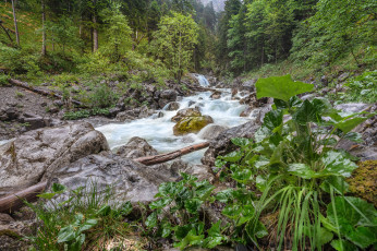 Картинка природа реки озера простор