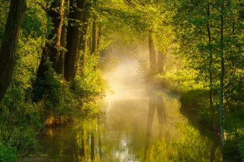 Картинка природа реки озера простор