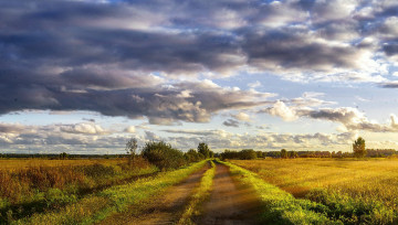 Картинка природа дороги простор