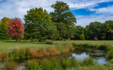 Картинка природа реки озера простор