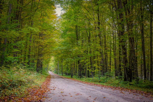 Обои картинки фото природа, дороги, простор