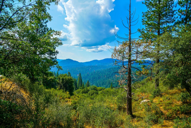 Обои картинки фото природа, пейзажи, простор