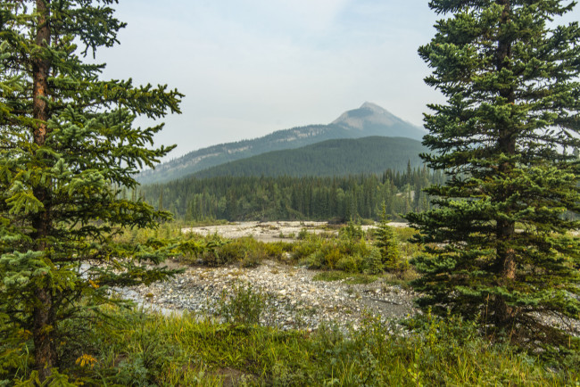 Обои картинки фото природа, пейзажи, простор