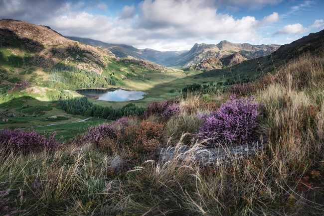 Обои картинки фото природа, пейзажи, простор