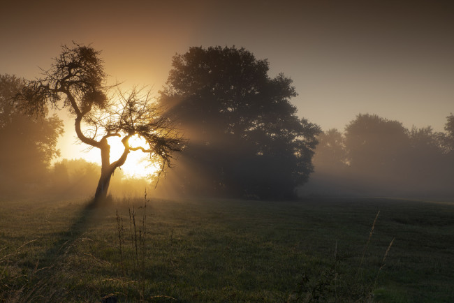 Обои картинки фото природа, восходы, закаты, простор