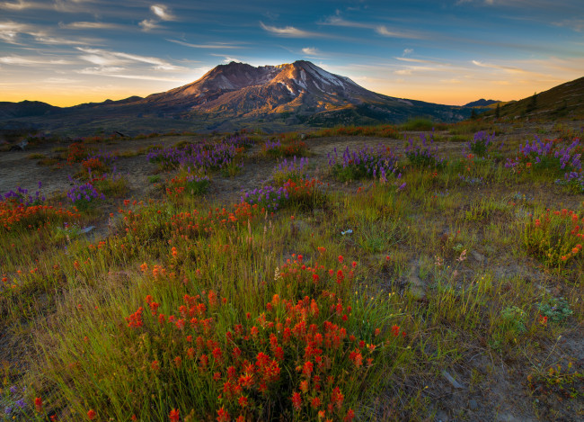 Обои картинки фото природа, луга, простор