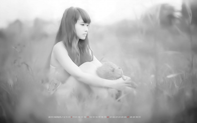 Обои картинки фото 