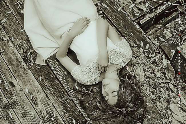 Обои картинки фото 