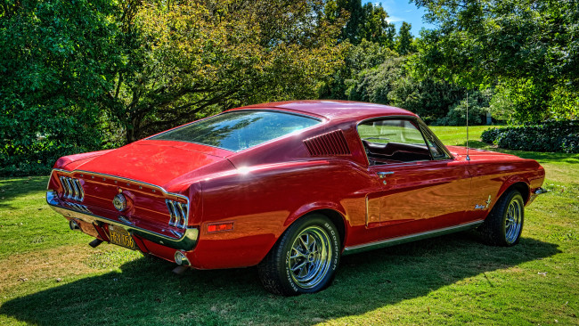 Обои картинки фото автомобили, mustang, ford