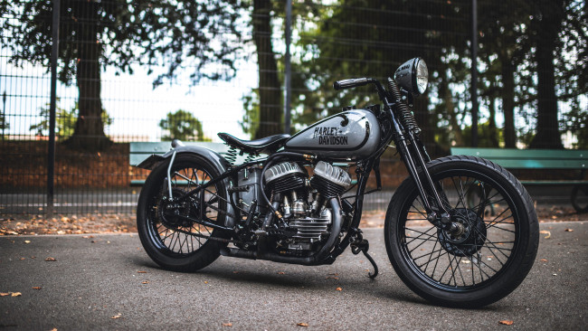 Обои картинки фото мотоциклы, harley-davidson