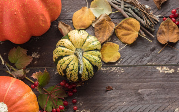 обоя еда, тыква, листья, тыквы, калина