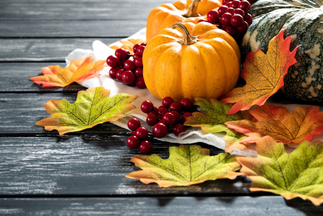 Обои картинки фото еда, тыква, листья, ягоды, тыквы