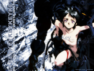 Картинка аниме weapon blood technology