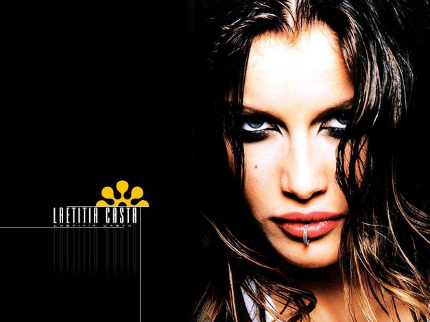Обои картинки фото Laetitia Casta, девушки