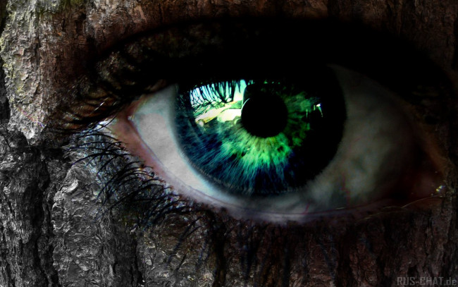 Обои картинки фото разное, глаза