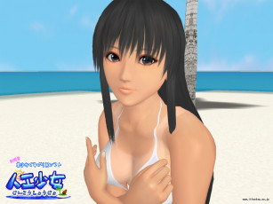 Картинка видео игры sexy beach