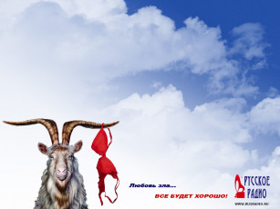 обоя русское, радио, бренды
