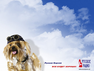 Картинка русское радио бренды