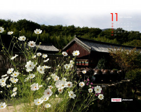 Картинка календари цветы