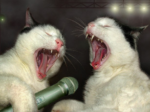 Картинка александр приходько апрельский блюз животные коты