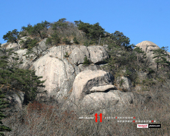 Обои картинки фото календари, природа