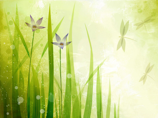 Обои картинки фото векторная, графика