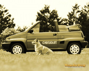 Картинка автомобили honda