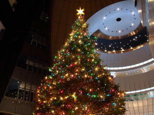 обоя праздничные, Ёлки