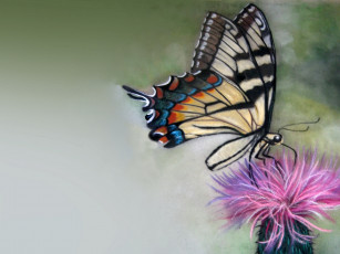 Картинка рисованные животные