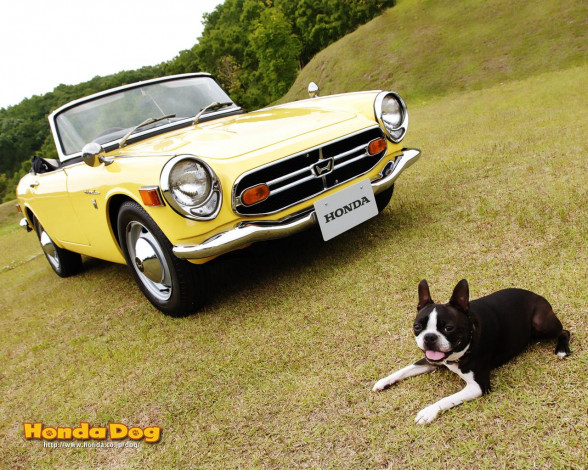 Обои картинки фото автомобили, honda